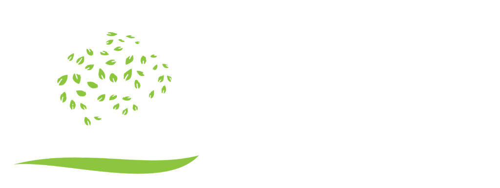 Logo for Smart Advising